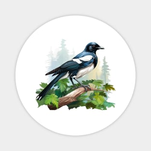 Magpie Magnet